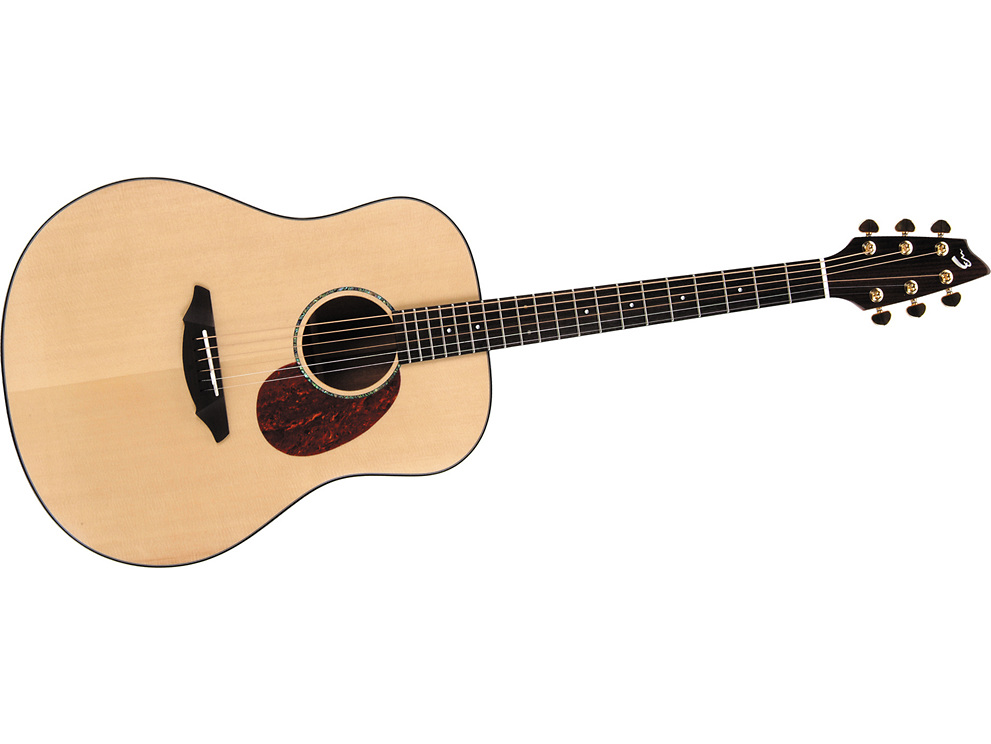 Breedlove Atlas AD20/SM