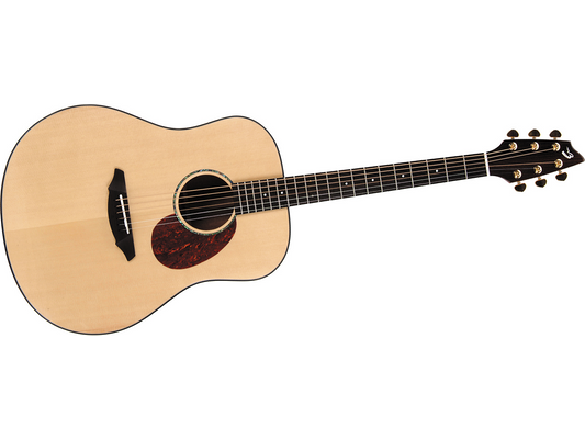 Breedlove Atlas AD20/SM