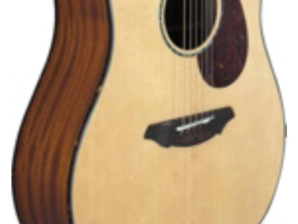 Breedlove Atlas AD20/SM