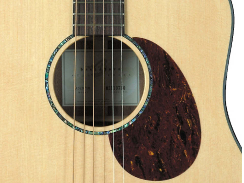 Breedlove Atlas AD20/SM