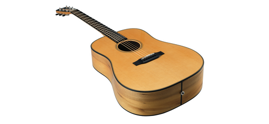 Breedlove D/SMYe with case