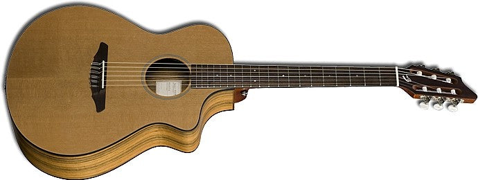 Breedlove Passport N250/COe with bag