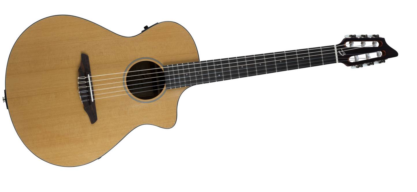 Breedlove Passport N250/COe with bag