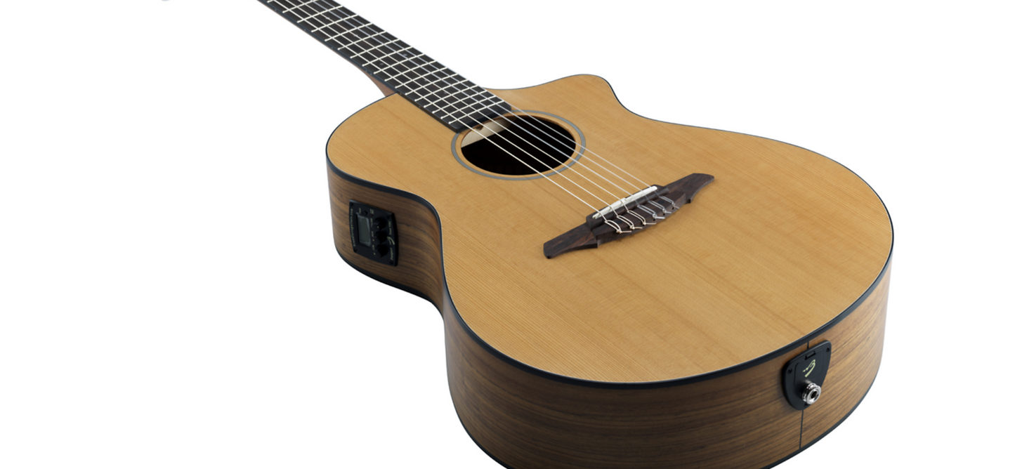 Breedlove Passport N250/COe with bag