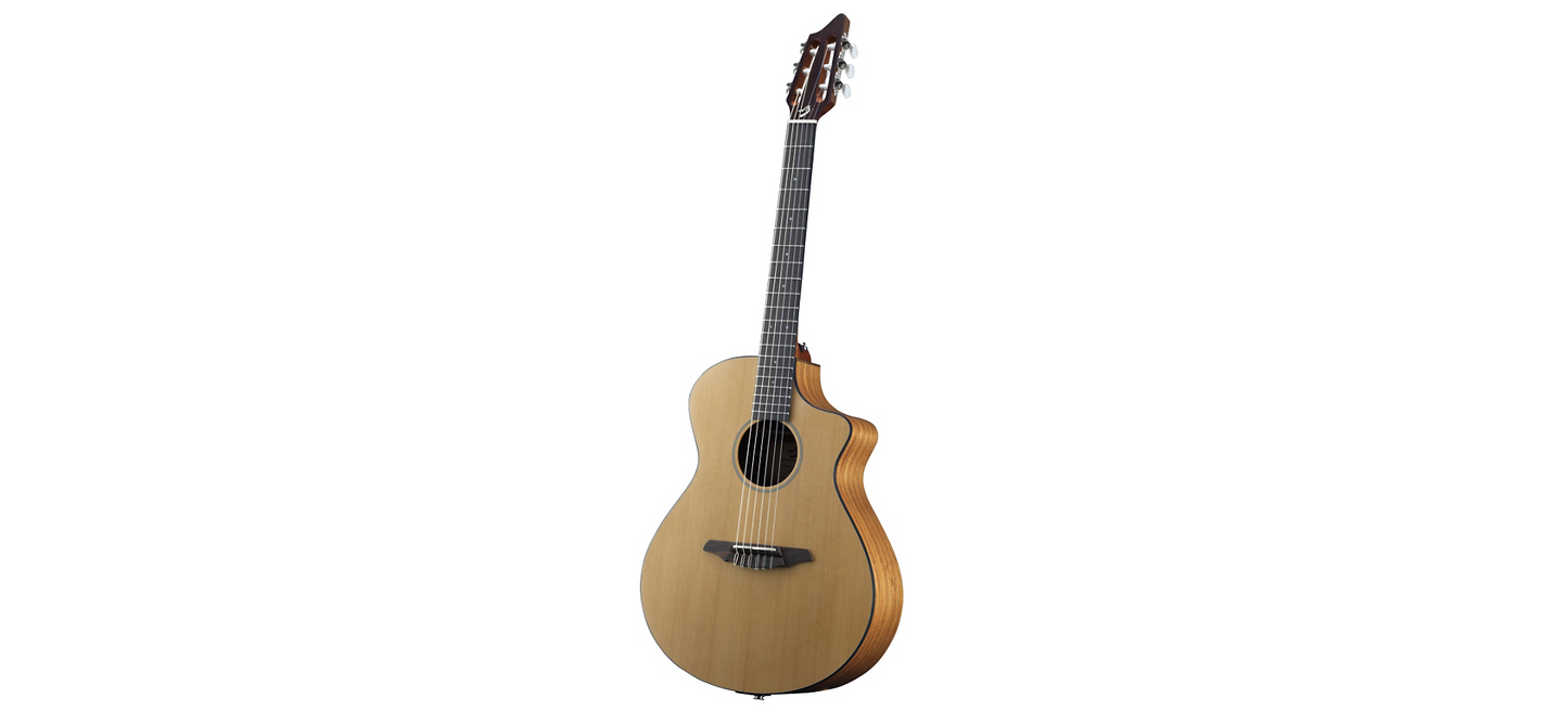 Breedlove Passport N250/COe with bag