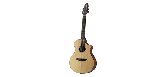 Breedlove Passport C250/SMe-12 12-string guitar